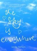 The sky is everywhere